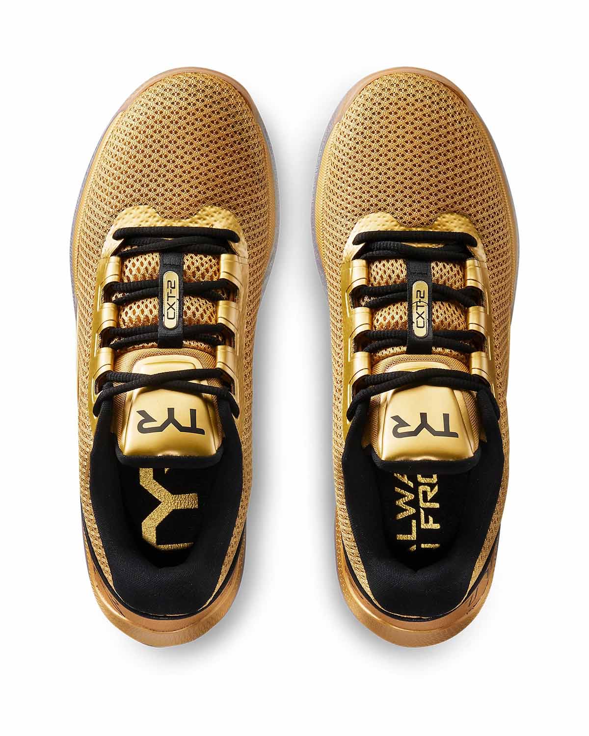 Tyr Trainer CXT-2 – Apes Lab