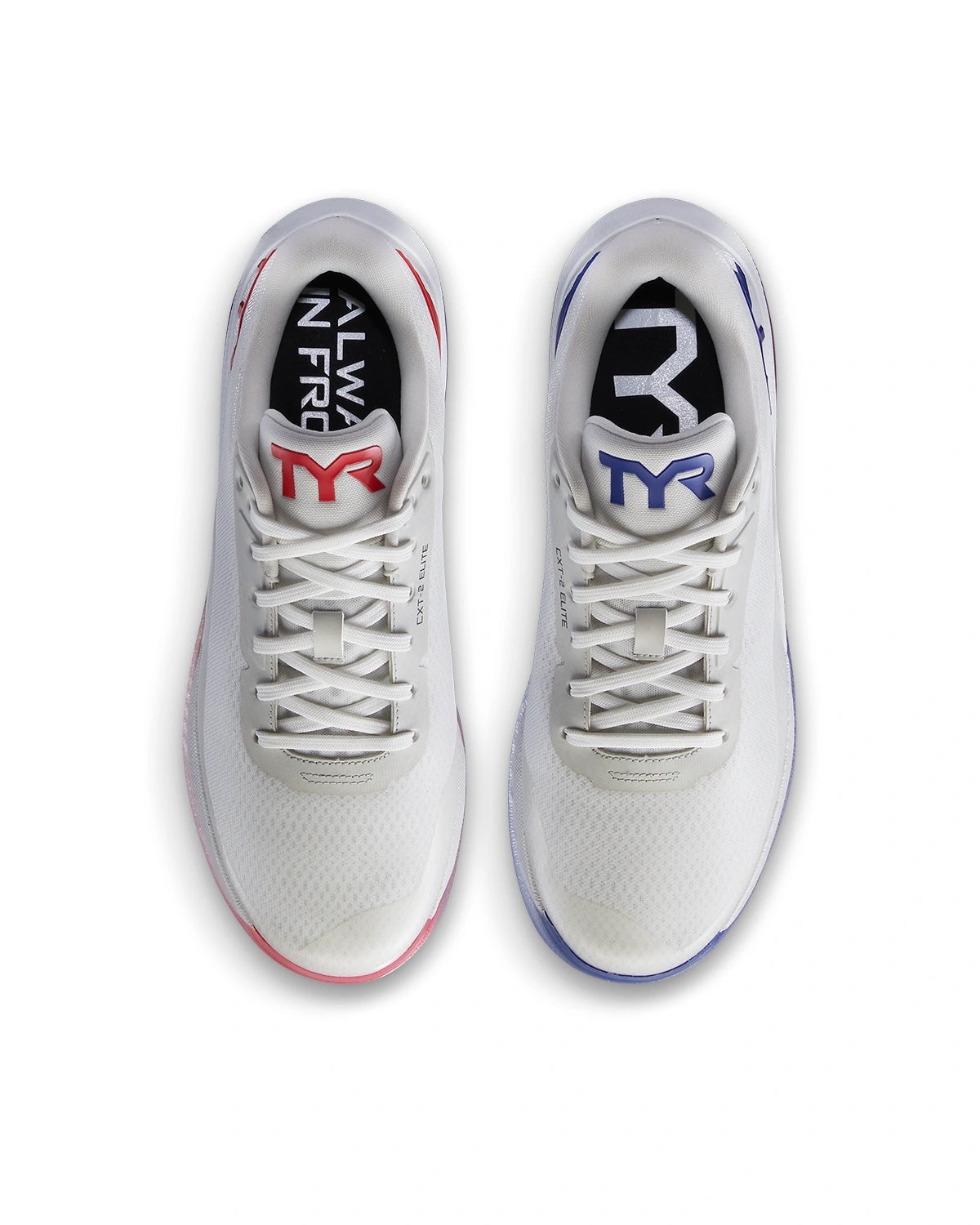 Tyr Trainer Elite Carbon CXT-2