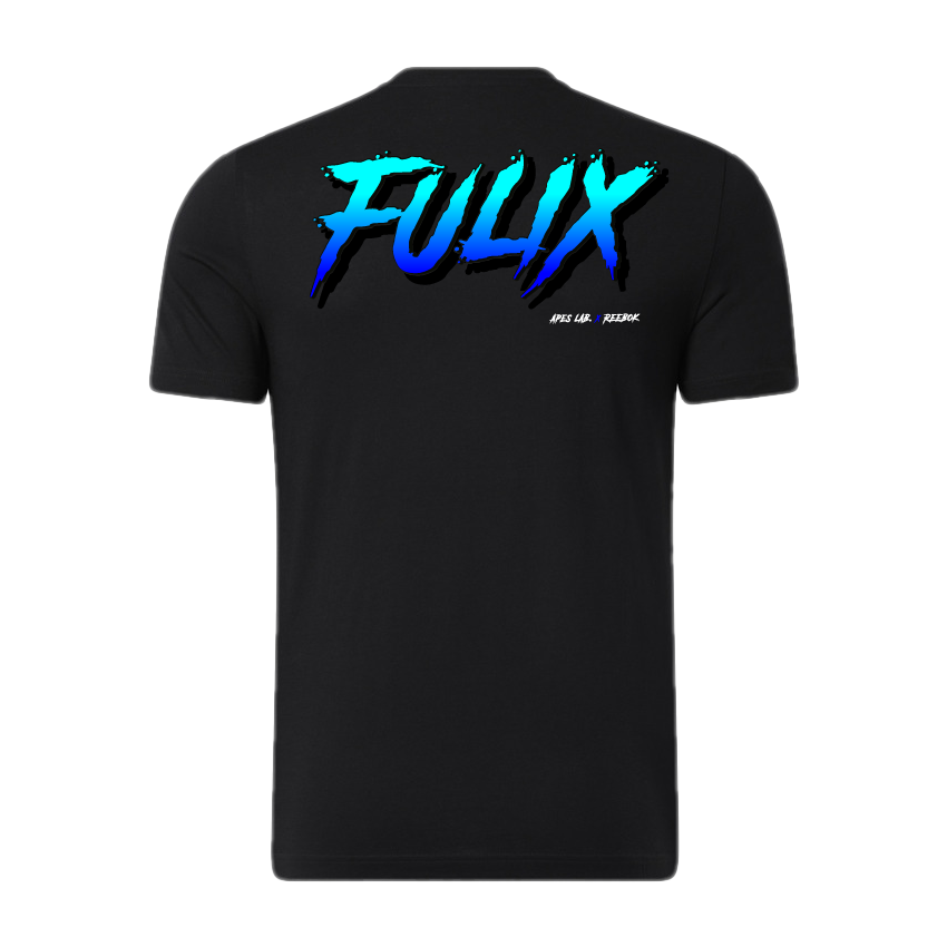 T-shirt Fulix - APES LAB. x REEBOK